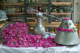 کاشان و مراسم گلابگیری بهار 1405